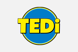 logo tedi