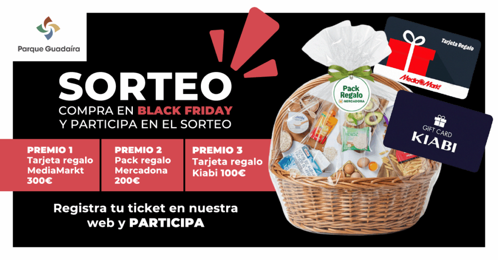 Sorteo Black Friday 2025